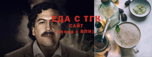 индика Няндома