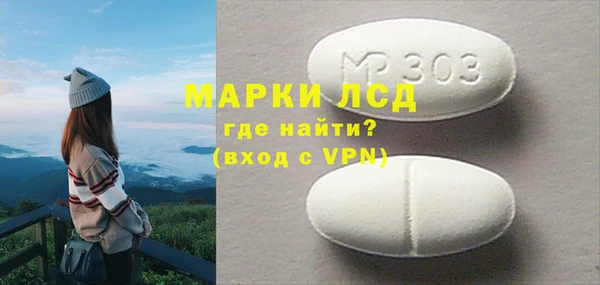 индика Няндома
