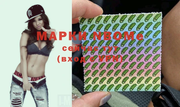 индика Няндома