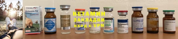 индика Няндома
