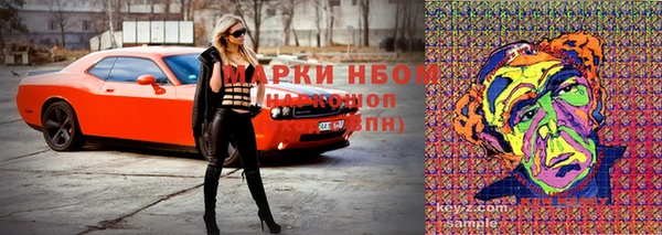 индика Няндома