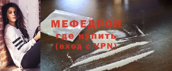индика Няндома