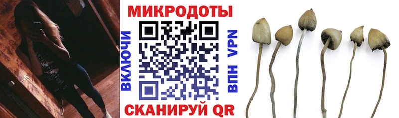 Галлюциногенные грибы Psilocybine cubensis  Тутаев 